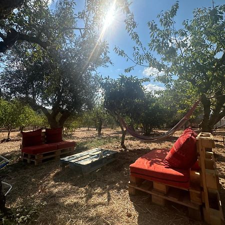 B&B Villa Tiziana Монополи Екстериор снимка