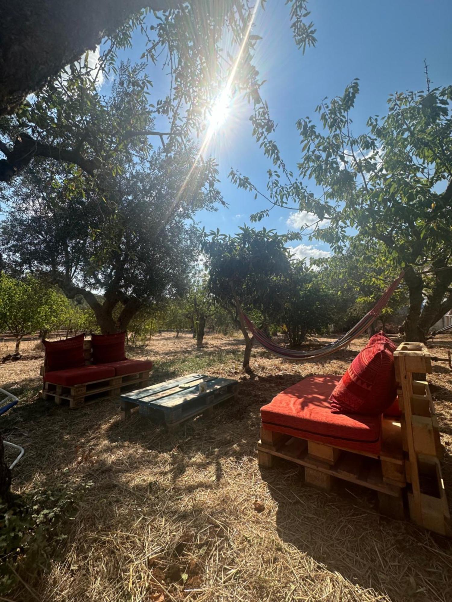 B&B Villa Tiziana Монополи Екстериор снимка